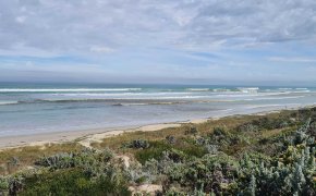 2025 -  Vic &raquo; 2025 - Vic